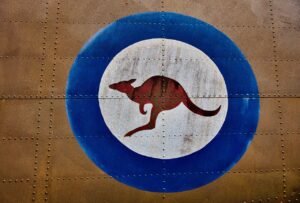 kangaroo-5636494_1280